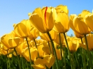 Test_Upload